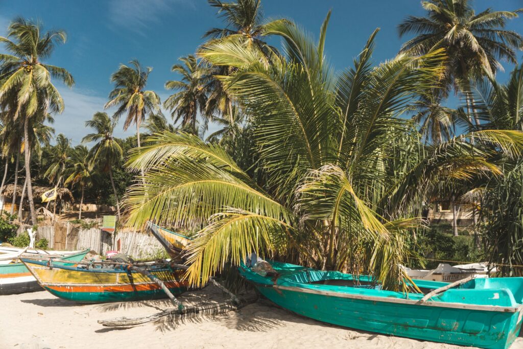 Arugam Bay