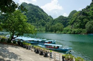 Phong Nha